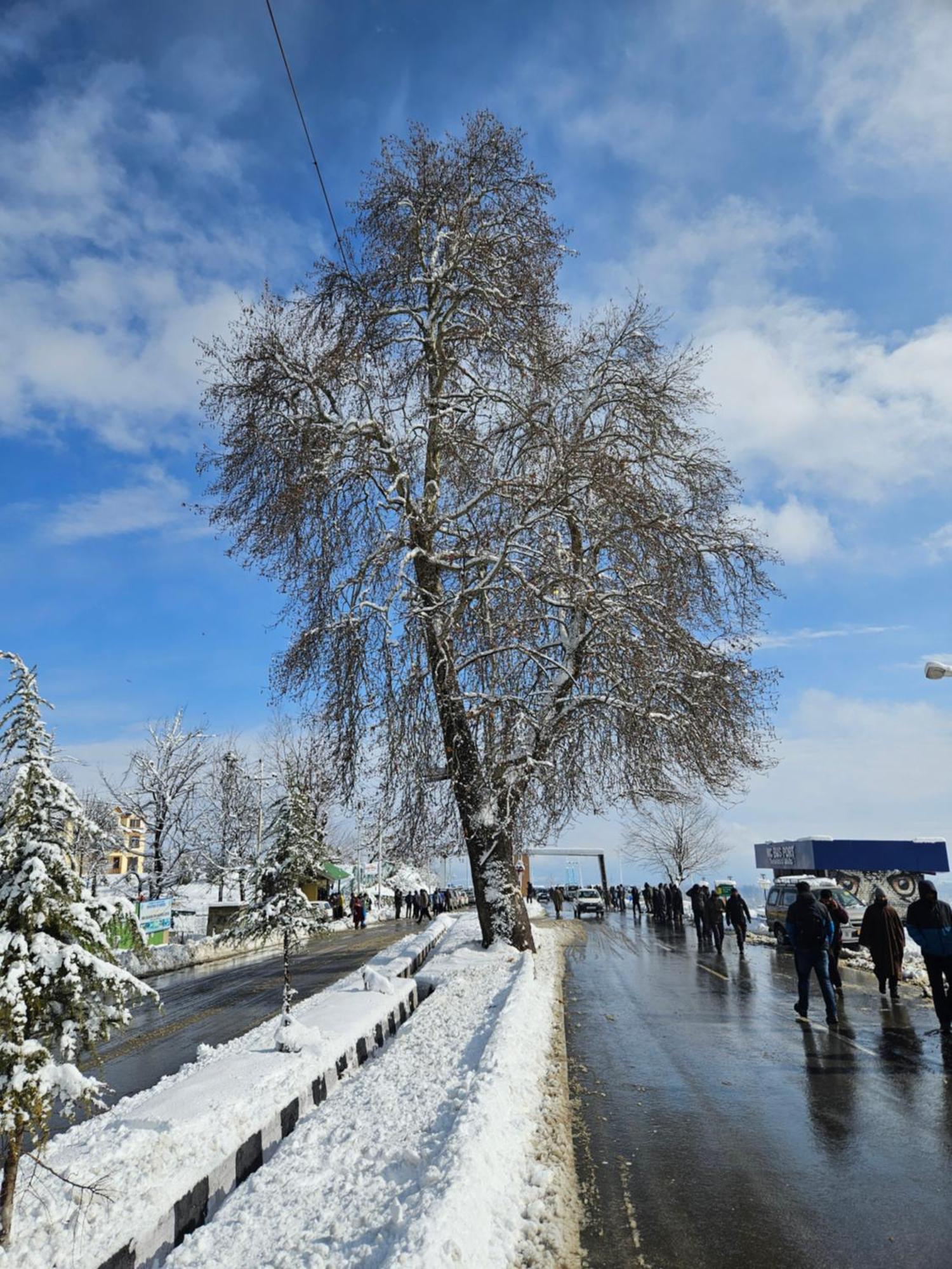Everest Guest House Gulmarg Extérieur photo